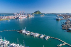 port-dji-28_xmas_card
