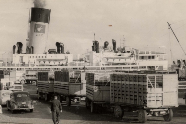 First cattle shipment - June 1958.