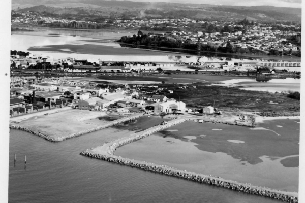 Sulphur Point reclamation - 1969.