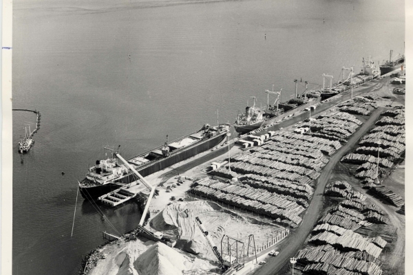 First woodchip shipment. The first shipment of woodchips left port in 1972. The woodchip pile that was a feature of the landscape at Tasman Quay for many years is now a distant memory.