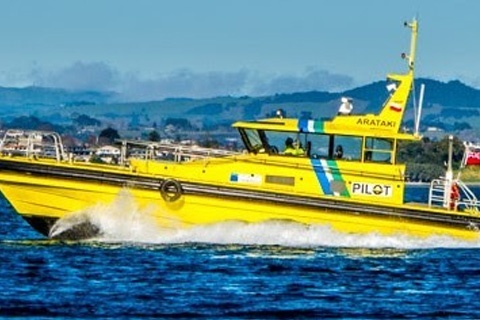 Pilot